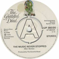 Grateful Dead : The Music Never Stopped